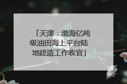 天津：渤海亿吨级油田海上平台陆地建造工作收官