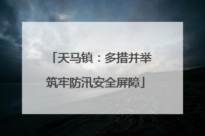 天马镇：多措并举筑牢防汛安全屏障