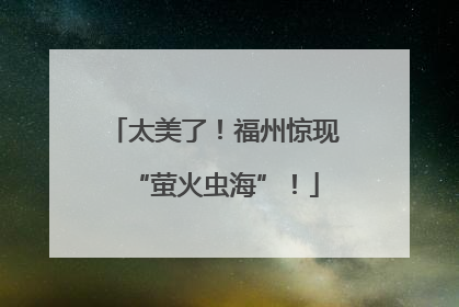 太美了！福州惊现“萤火虫海”！