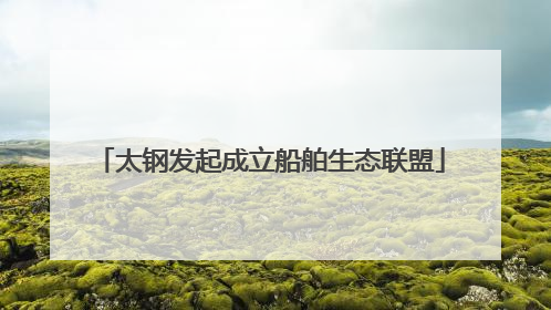 太钢发起成立船舶生态联盟