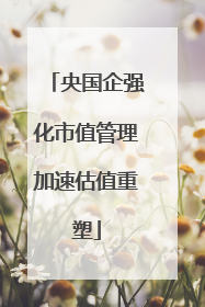 央国企强化市值管理加速估值重塑