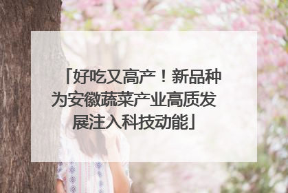 好吃又高产！新品种为安徽蔬菜产业高质发展注入科技动能