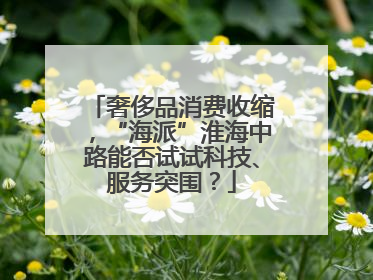 奢侈品消费收缩，“海派”淮海中路能否试试科技、服务突围？