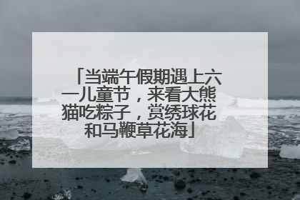 当端午假期遇上六一儿童节，来看大熊猫吃粽子，赏绣球花和马鞭草花海