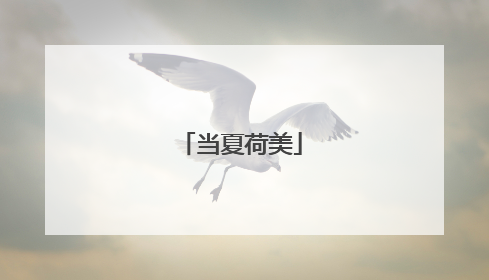 当夏荷美