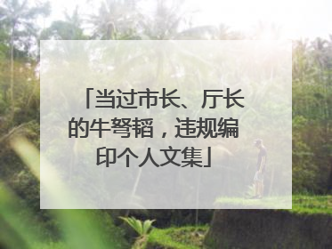 当过市长、厅长的牛弩韬，违规编印个人文集