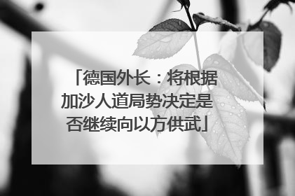 德国外长：将根据加沙人道局势决定是否继续向以方供武