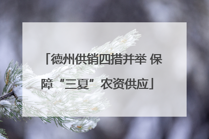 德州供销四措并举 保障“三夏”农资供应