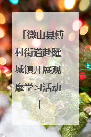 微山县傅村街道赴驩城镇开展观摩学习活动