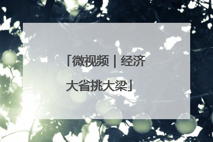 微视频｜经济大省挑大梁