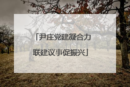 尹庄党建凝合力 联建议事促振兴