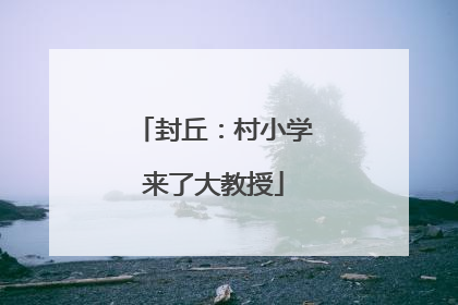 封丘：村小学来了大教授