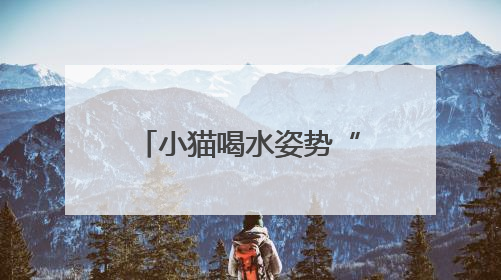 小猫喝水姿势“撞脸”三星堆文物？经求证该文物并非来自三星堆