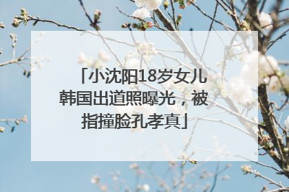 小沈阳18岁女儿韩国出道照曝光，被指撞脸孔孝真
