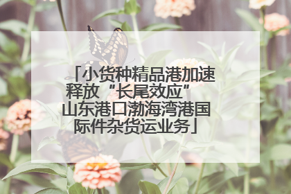 小货种精品港加速释放“长尾效应” 山东港口渤海湾港国际件杂货运业务