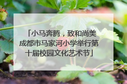 小马奔腾，致和尚美 成都市马家河小学举行第十届校园文化艺术节