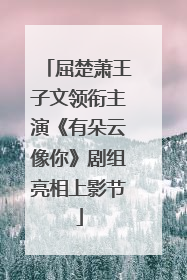 屈楚萧王子文领衔主演《有朵云像你》剧组亮相上影节