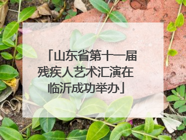 山东省第十一届残疾人艺术汇演在临沂成功举办