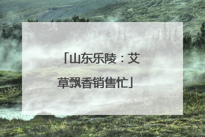 山东乐陵：艾草飘香销售忙