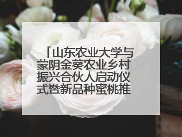 山东农业大学与蒙阴金葵农业乡村振兴合伙人启动仪式暨新品种蜜桃推介活动举行