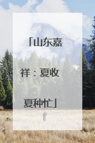 山东嘉祥：夏收夏种忙