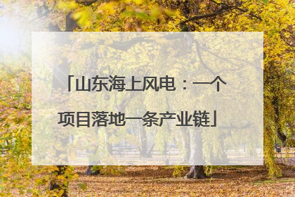 山东海上风电：一个项目落地一条产业链