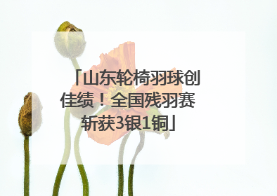 山东轮椅羽球创佳绩！全国残羽赛斩获3银1铜