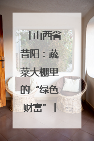 山西省昔阳：蔬菜大棚里的“绿色财富”