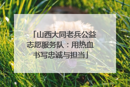 山西大同老兵公益志愿服务队：用热血书写忠诚与担当