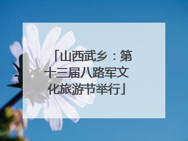 山西武乡：第十三届八路军文化旅游节举行