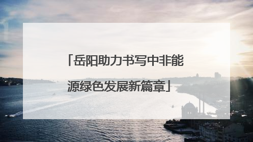 岳阳助力书写中非能源绿色发展新篇章