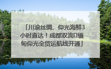 川渝丝绸、仰光海鲜3小时直达！成都双流⇌缅甸仰光全货运航线开通
