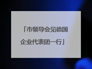 市领导会见德国企业代表团一行