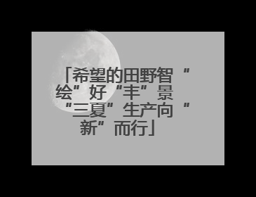 希望的田野智“绘”好“丰”景 “三夏”生产向“新”而行