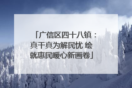 广信区四十八镇：真干真为解民忧 绘就惠民暖心新画卷