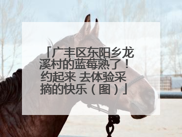 广丰区东阳乡龙溪村的蓝莓熟了！约起来 去体验采摘的快乐（图）