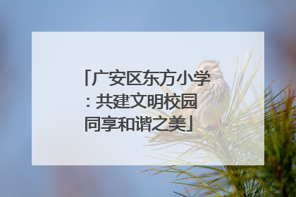 广安区东方小学：共建文明校园 同享和谐之美