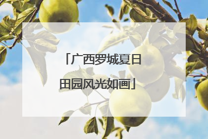 广西罗城夏日田园风光如画