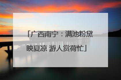 广西南宁：满池粉黛映夏凉 游人赏荷忙