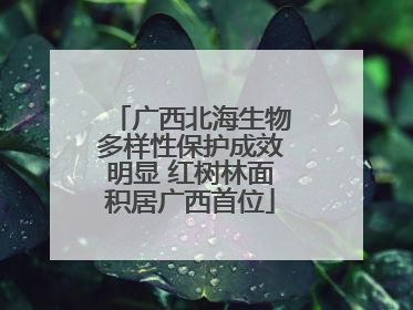 广西北海生物多样性保护成效明显 红树林面积居广西首位