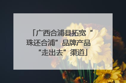 广西合浦县拓宽“珠还合浦”品牌产品“走出去”渠道