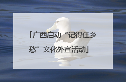 广西启动“记得住乡愁”文化外宣活动