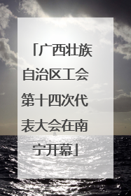 广西壮族自治区工会第十四次代表大会在南宁开幕