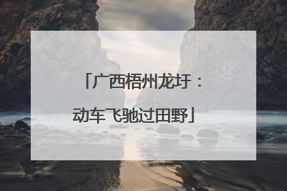 广西梧州龙圩：动车飞驰过田野
