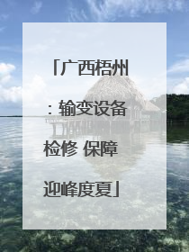 广西梧州：输变设备检修 保障迎峰度夏