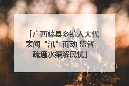 广西藤县乡镇人大代表闻“汛”而动 监督疏通水渠解民忧