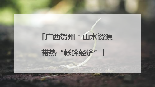 广西贺州：山水资源带热“帐篷经济”