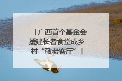 广西首个基金会援建长者食堂成乡村“敬老客厅”