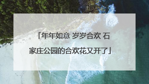 年年如意 岁岁合欢 石家庄公园的合欢花又开了
