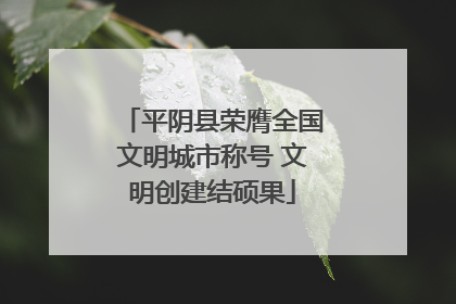 平阴县荣膺全国文明城市称号 文明创建结硕果